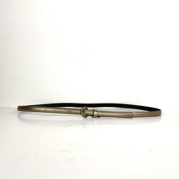 Vintage Bronze Metallic Super Skinny Belt with Brass Buckle - Picture 4 of 7